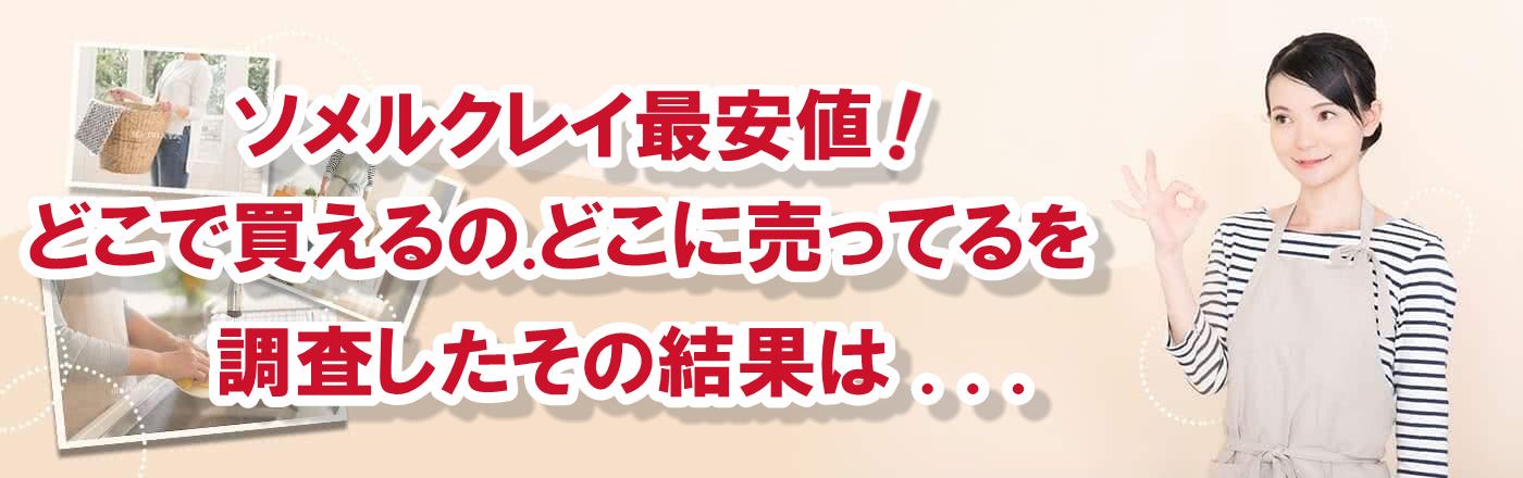 ソメルクレイ最安値｜どこで買える.どこに売ってるを調査.結果は